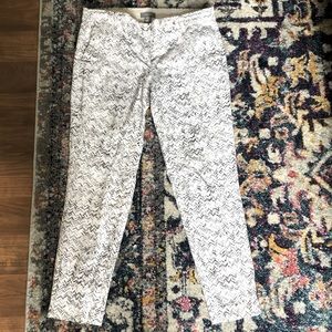 Dress Pants
